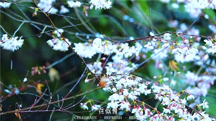 霸陵墓園新區(qū)有哪些特色？