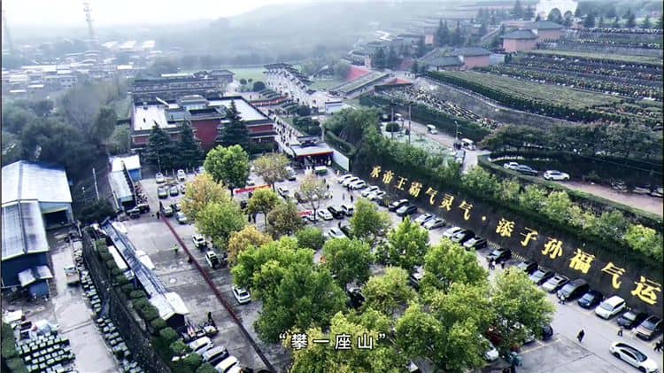 西安霸陵墓園位于哪里，其地理位置有何特殊之處？