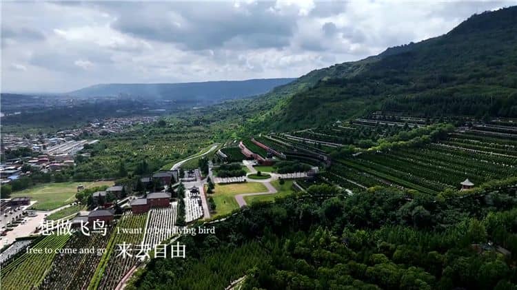 西安霸陵墓園新區(qū)是否提供墓碑清潔和維護(hù)服務(wù)？