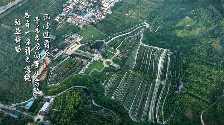 西安霸陵墓園咨詢電話，獲取西安霸陵墓園最新信息的官方渠道