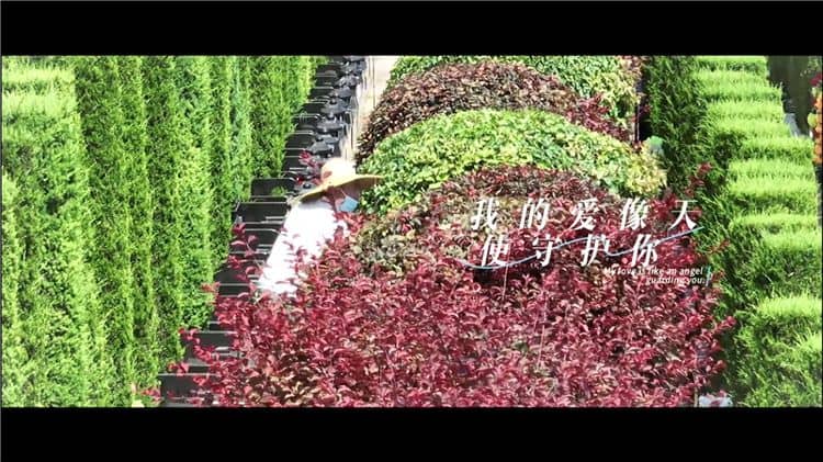 西安霸陵墓園新區(qū)，西安霸陵墓園新區(qū)的介紹與特色