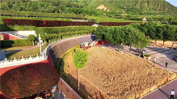 西安霸陵墓園開放時(shí)間與入園政策詳解