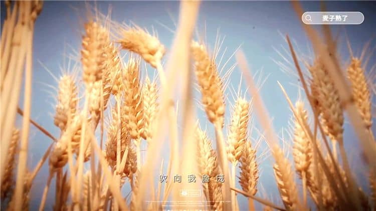 西安霸陵墓園新區(qū)是否支持家庭墓地繼承？