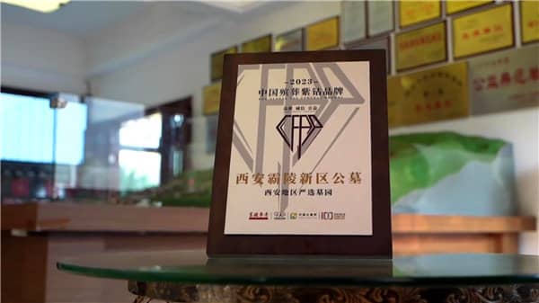 西安霸陵清明掃墓？西安霸陵墓園辦公室電話？
