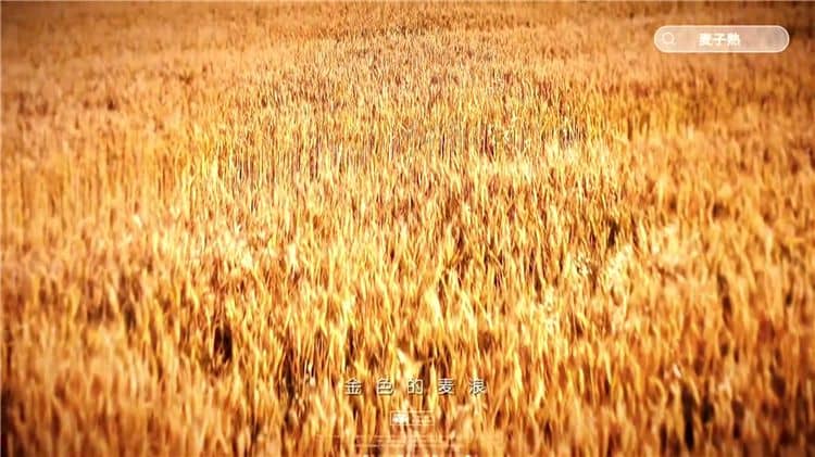 選擇西安霸陵陵園的樹(shù)葬服務(wù)有哪些好處？