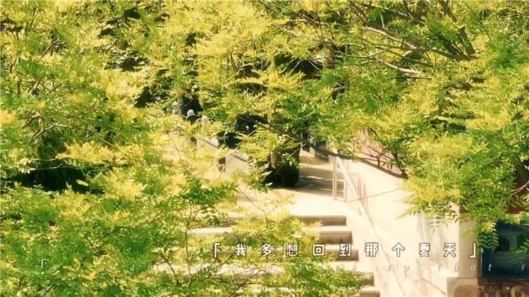 西安霸陵陵園的樹葬服務(wù)價格是多少