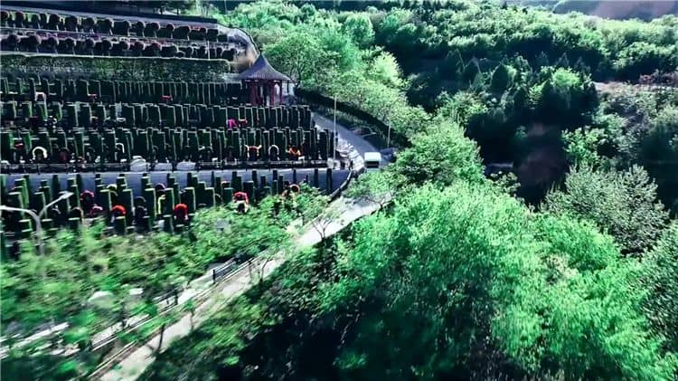西安霸陵墓園電話號碼多少，省錢又省心買墓地！