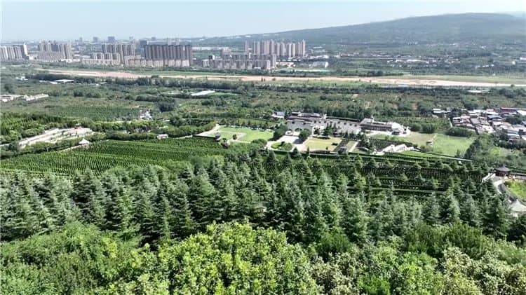 西安霸陵墓園的整體布局有何特色？