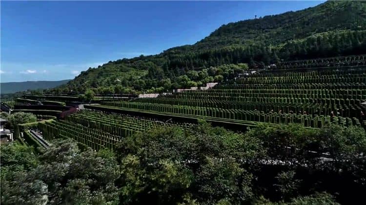 請問西安霸陵墓園新區(qū)有哪些配套設(shè)施？