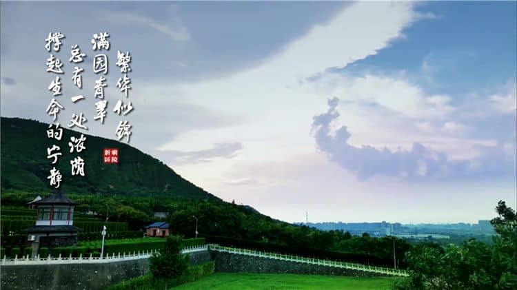 西安霸陵墓園是否有價(jià)格更高端的墓型？