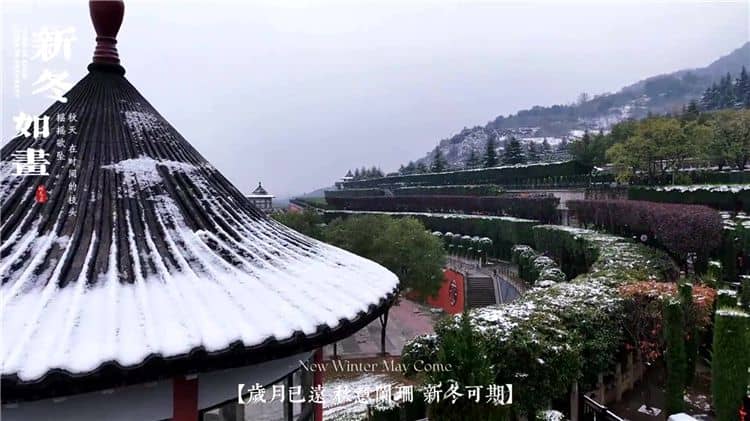 西安霸陵墓園新區(qū)碑型多樣，助您輕松挑選