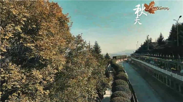 西安霸陵墓園新區(qū)具體位于哪個區(qū)域和街道，其周邊有哪些主要的交通路線？