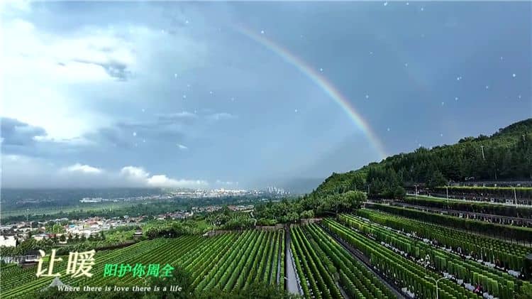 西安霸陵墓園新區(qū)的文化氛圍有何特點(diǎn)？
