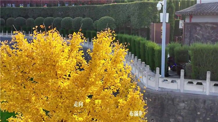 西安霸陵墓園未來有哪些發(fā)展規(guī)劃和愿景？