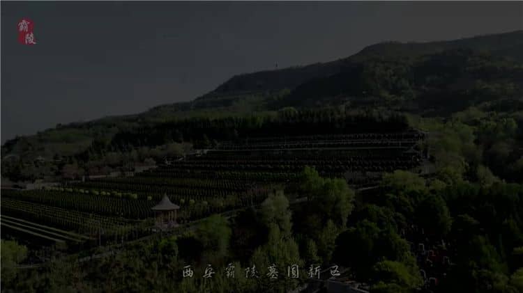 西安霸陵墓園不僅具有深厚的歷史背景和文化底蘊，還提供多種優(yōu)質(zhì)的服務項目和環(huán)保舉措
