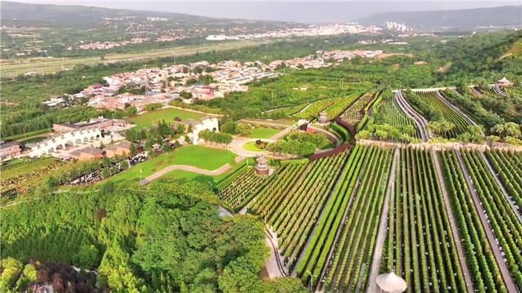 西安霸陵墓園有哪些獨(dú)特的文化元素？