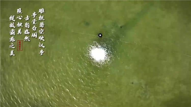 西安霸陵墓園新區(qū)的綠化情況如何？