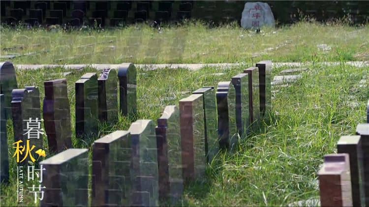 西安灞橋區(qū)霸陵陵園提供了哪些生態(tài)安葬方式？