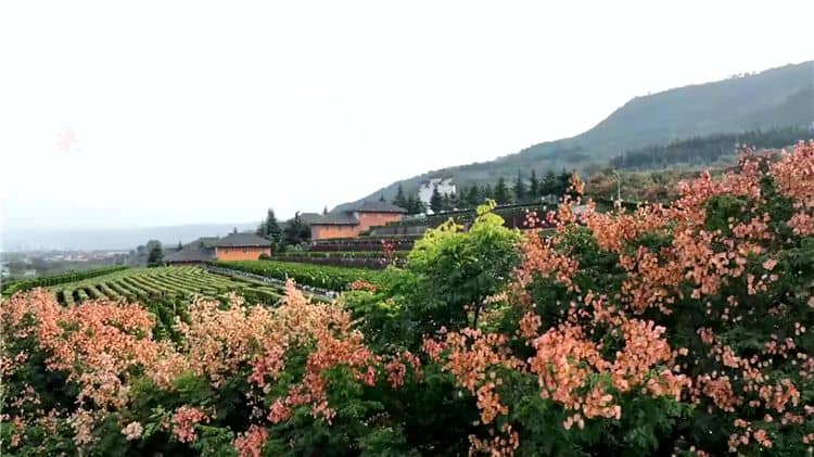 西安霸陵墓園新區(qū)在社會(huì)公益性方面有哪些貢獻(xiàn)？