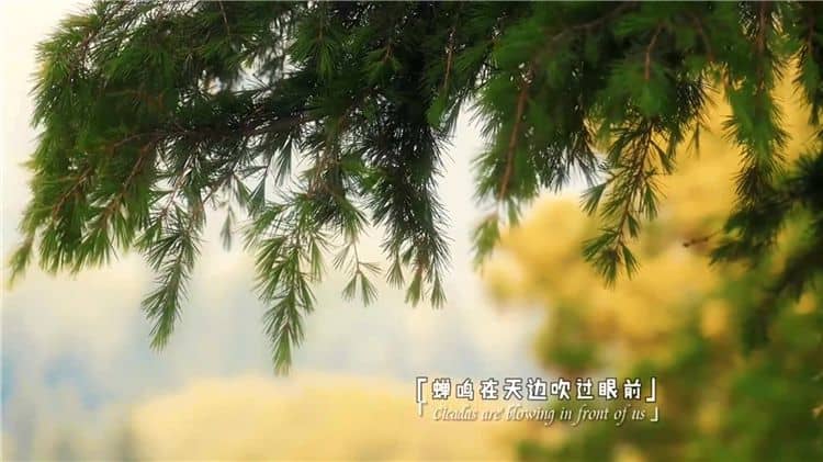 西安霸陵墓園新區(qū)的葬式有哪些種類？