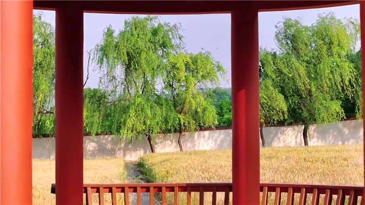 西安霸陵墓園是否提供骨灰寄存服務(wù)？