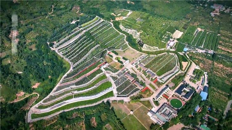 請問西安霸陵墓園的歷史背景是什么？