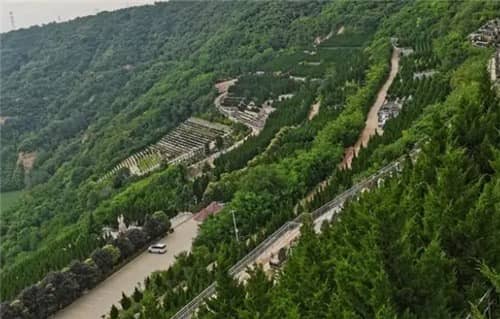 西安高橋墓園新區(qū)有多遠(yuǎn)