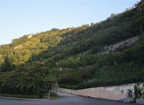 西安東高橋墓園 西安高橋墓園預(yù)約