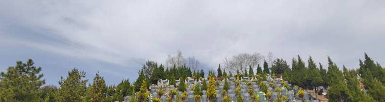 白鹿原墓園各區(qū)域墓地有哪些特點(diǎn)和選擇建議？