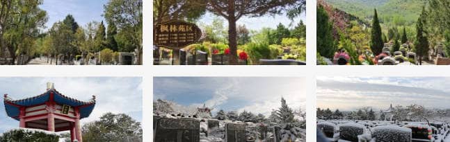 如何預約參觀白鹿原墓園并了解墓地信息？