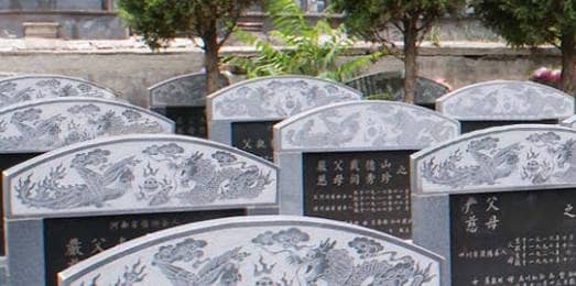 西安藍(lán)田縣鳳凰嶺公墓提供的墓地類型有哪些，各自的主要特點(diǎn)是什么？
