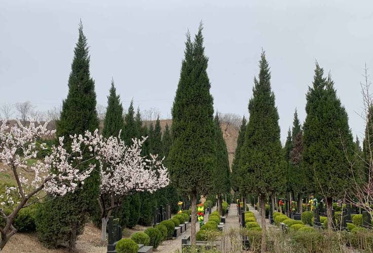 西安臥龍山墓園的價位如何?