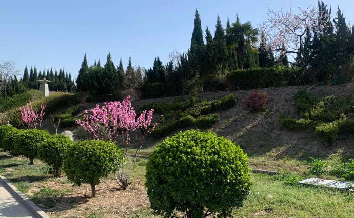 西安臥龍山墓園在規(guī)劃和建設(shè)上有哪些特點，這些特點如何體現(xiàn)墓園的獨特魅力？