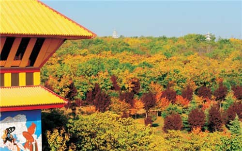 城市公益性公墓有哪些特點(diǎn)?詳細(xì)解析與參考