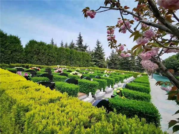 西安的墓園選址要求是什么？解析墓園選址的關(guān)鍵標(biāo)準(zhǔn)