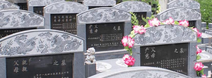 西安樹(shù)葬墓園費(fèi)用解析：了解生態(tài)安葬的成本構(gòu)成