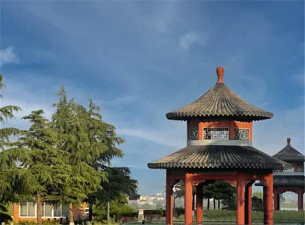 墓園是否有樹葬、花壇葬等生態(tài)葬選項(xiàng)？與傳統(tǒng)墓葬的區(qū)別？