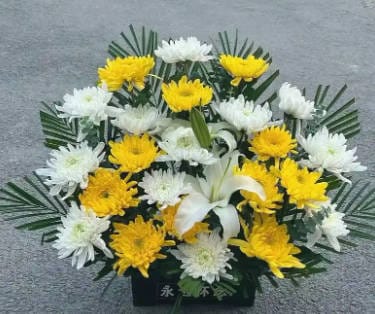 留下手機(jī)號(hào)預(yù)約看墓地