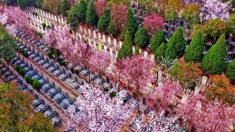 西安墓地一平方多少塊錢，買墓不怕被騙