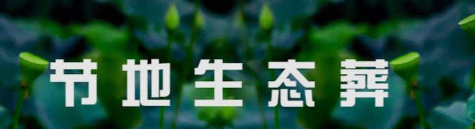 西安鳳棲山墓地購(gòu)買全攻略:選擇與購(gòu)買的最佳實(shí)踐