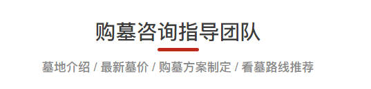 清明公祭活動對社會道德風(fēng)尚的深遠(yuǎn)影響
